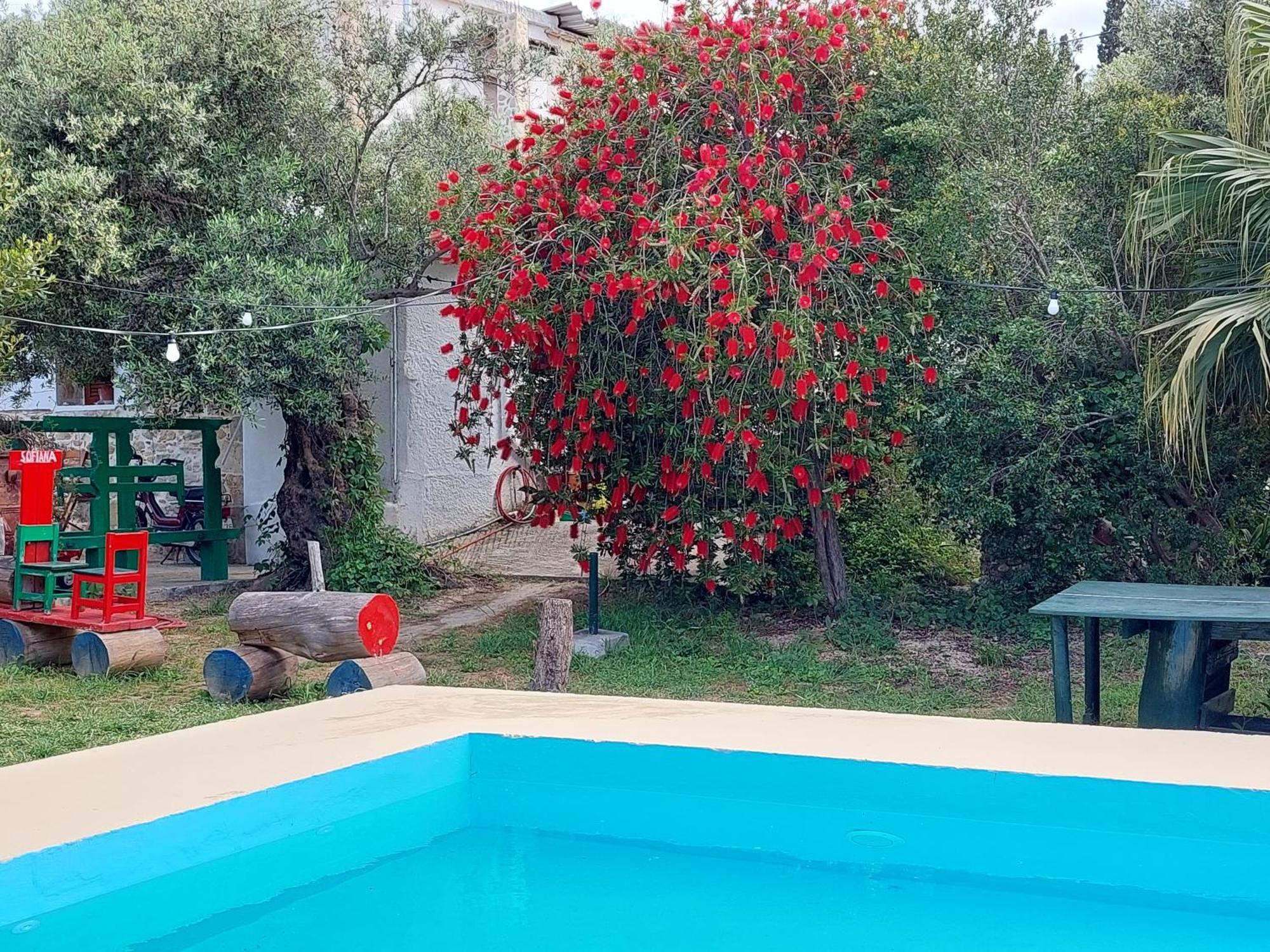 Sofiana'S Garden Retreat With Private Pool Lejlighed Dhrapaniás Værelse billede