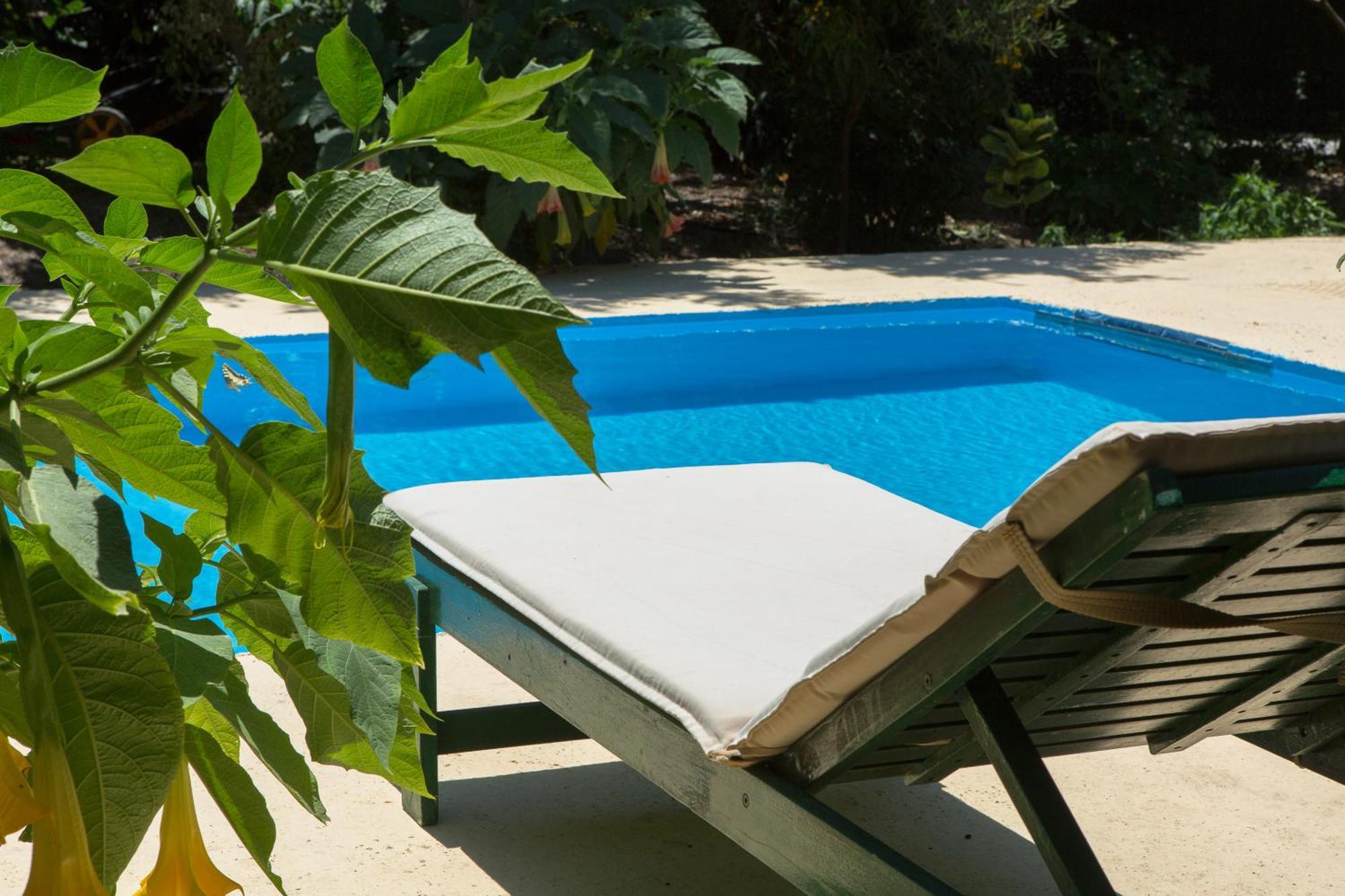 Sofiana'S Garden Retreat With Private Pool Lejlighed Dhrapaniás Eksteriør billede